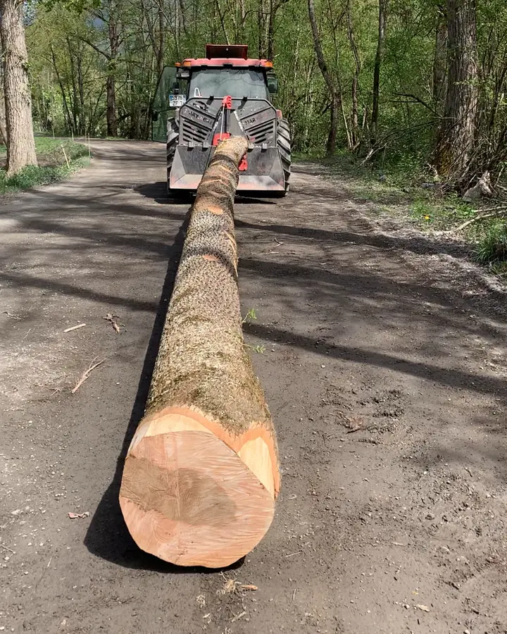 Tronc fraîchement coupé tiré par un tracteur forestier sur une piste en forêt